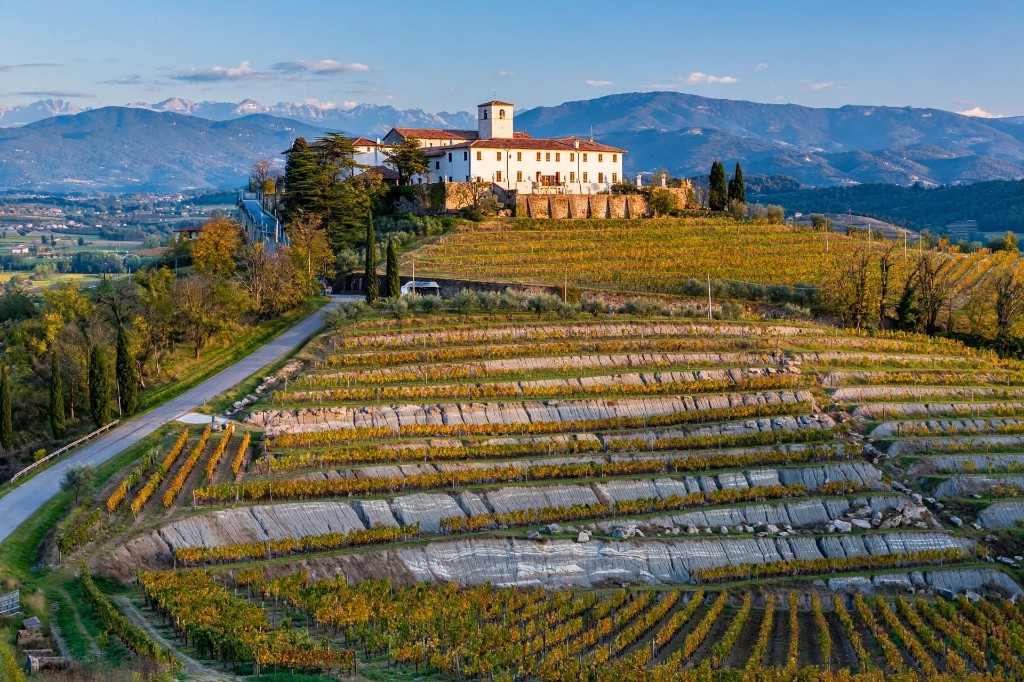 Vignobles de Rosazzo